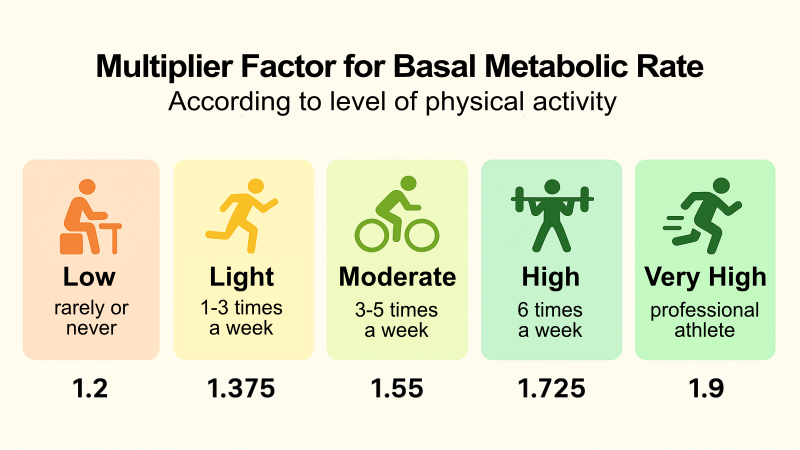 Multiplier factor for basal metabolic rate by physical activity level