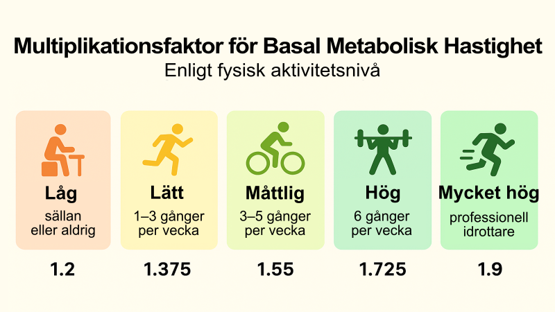 Multiplikationsfaktor för basalmetabolisk hastighet enligt fysisk aktivitetsnivå