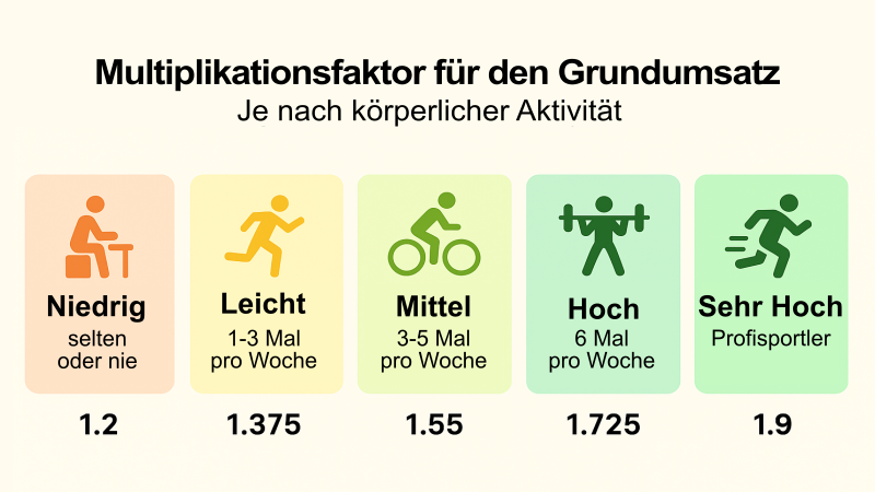 Multiplikationsfaktor für den Grundumsatz je nach Aktivitätsniveau