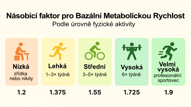 Násobící faktor pro bazální metabolickou rychlost podle úrovně fyzické aktivity